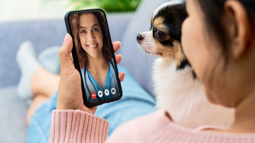 Telus launches MyPet, a virtual vet services for cat and dog owners