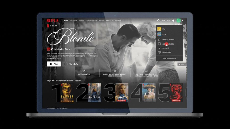 Netflix Profile Transfer