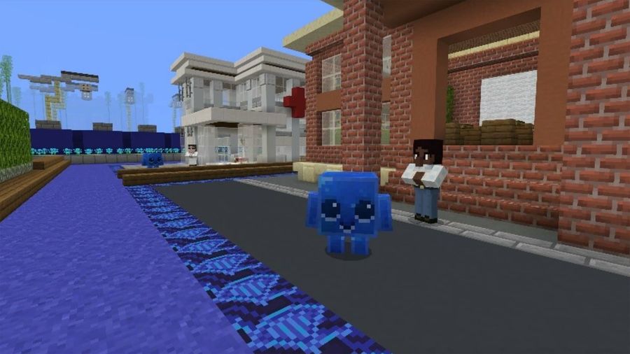 Minecraft Privacy Prodigy