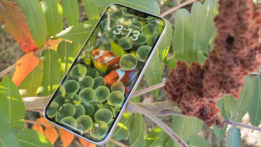 iPhone 14 Plus