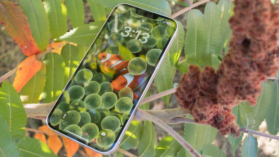 iPhone 14 Plus