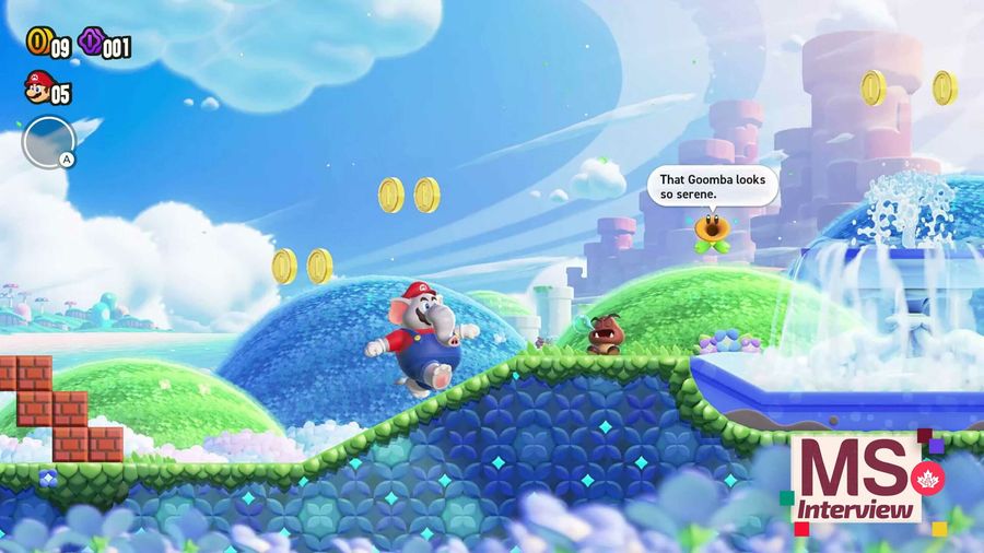 Mario Elephant interview scaled