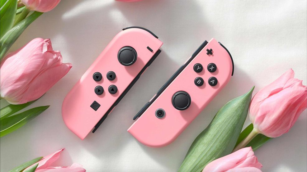 Nintendo Switch Joy-Cons