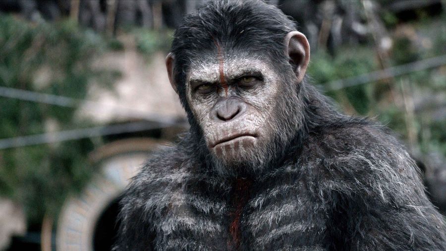 Dawn of the Planet of the Apes Caesar