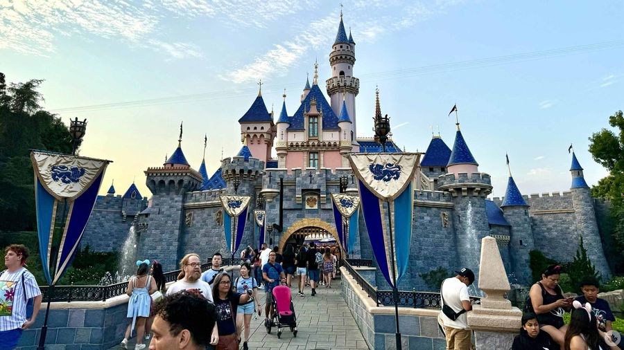 Disney Castle