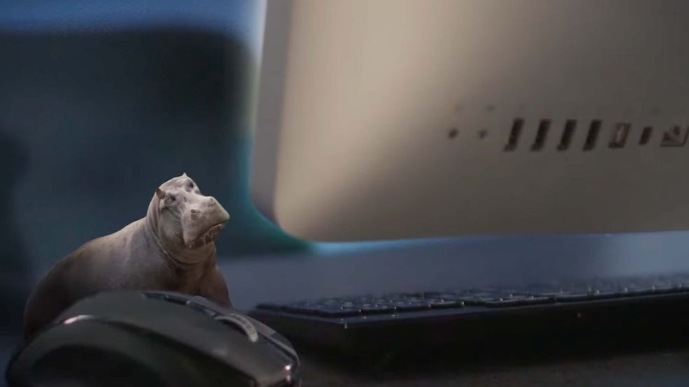 Canadian government brings back the house hippo to fight the rise of AI fakes