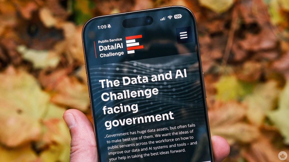 Government asking public servants how to use AI to streamline operations