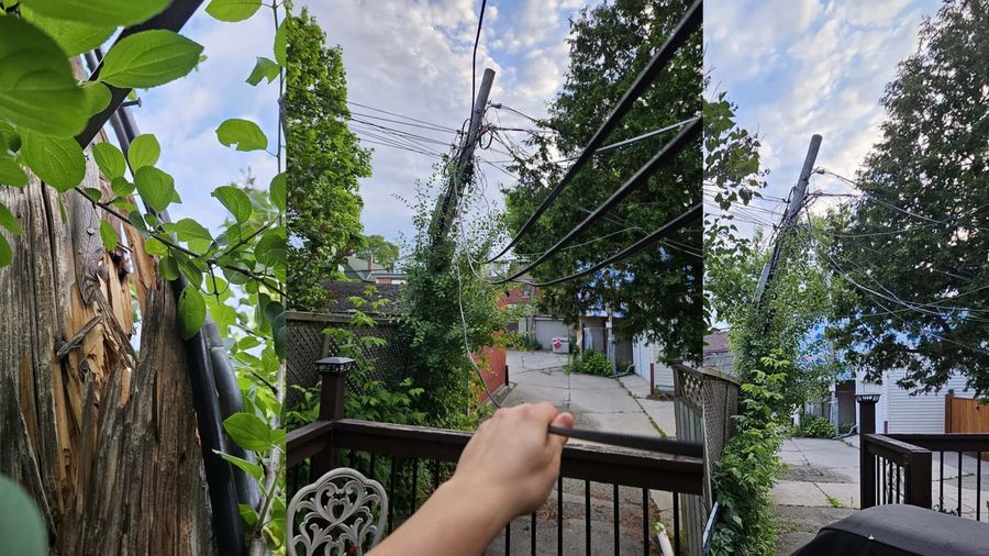 Bell cable down in Toronto yard