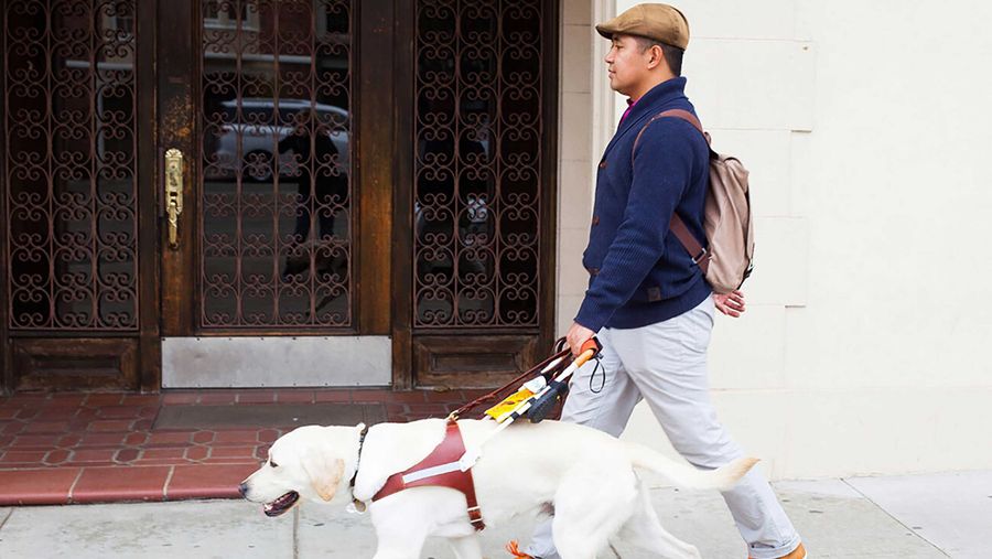 Man walking on the sidewalk with a guide dog