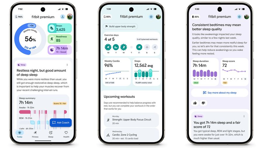 Fitbit personal health coach