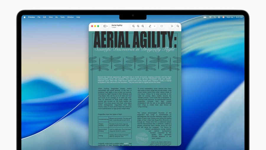 Apple Accessibility Reader