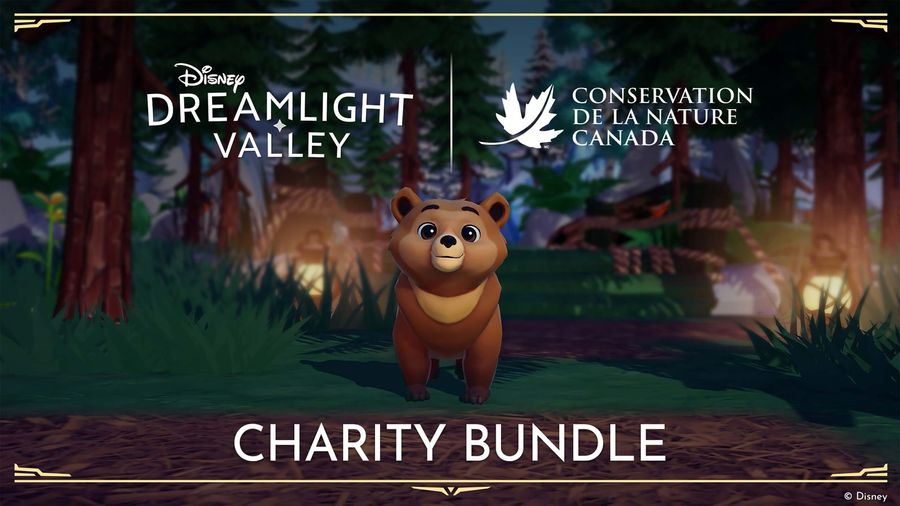 Disney Dreamlight Valley NCC charity bundle bear