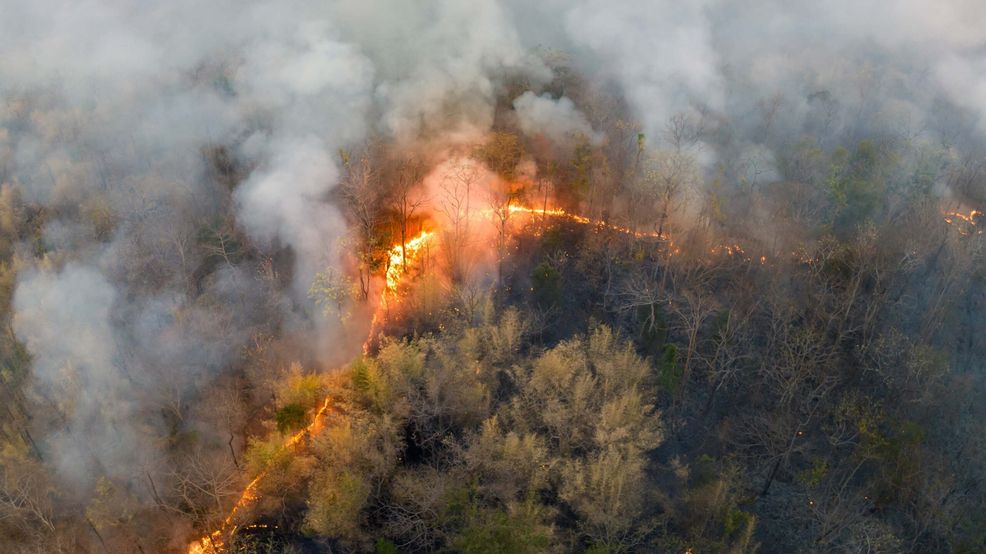 This Canadian app wants to be your one-stop shop for wildfire risk
