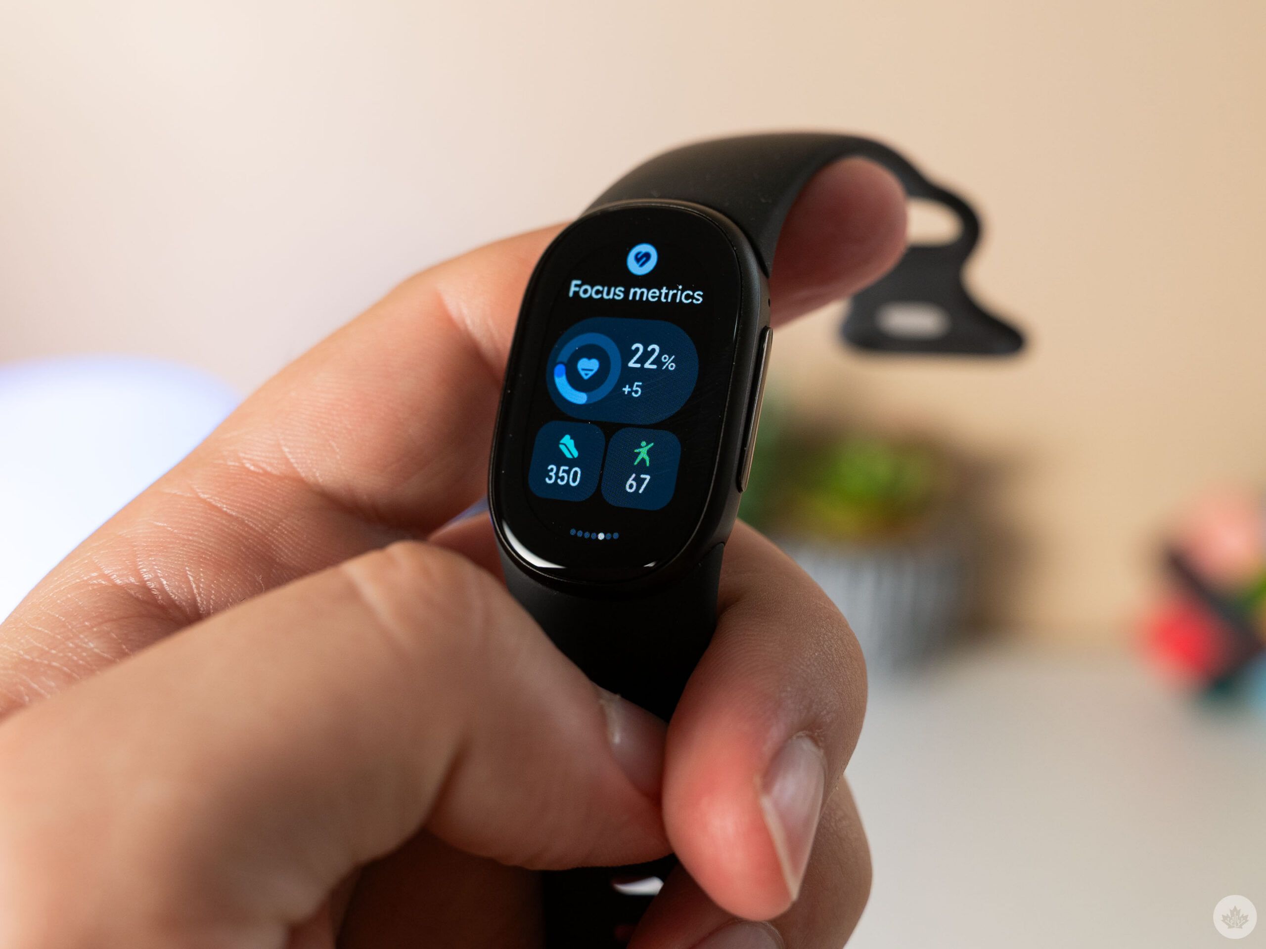 Fitbit Edge metrics.